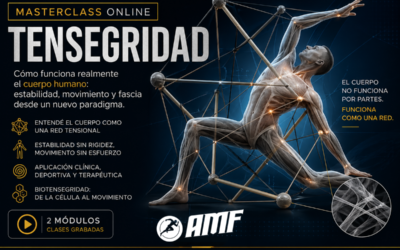 MASTERCLASS ONLINE DE TENSEGRIDAD